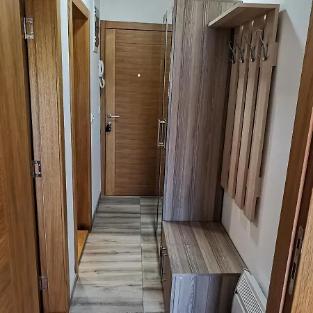 Lea & Parking U Garazi Appartement Sokobanja