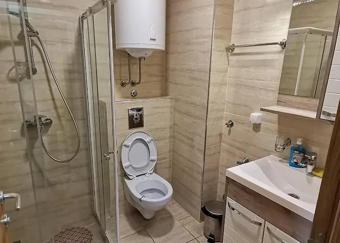 公寓 Lea & Parking U Garazi 索科矿泉村