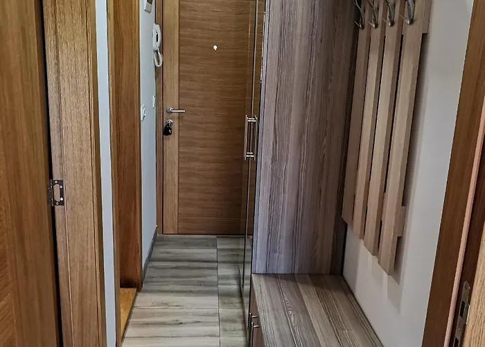 Lea & Parking U Garazi 公寓 索科矿泉村